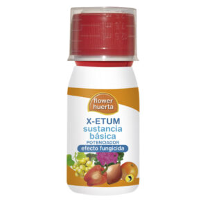 X-etum
