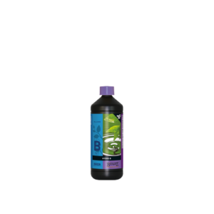 Hydro  B 10 L Atami