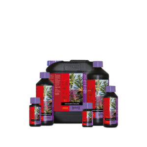 Coco bloom stimulator 1 l b´cuzz