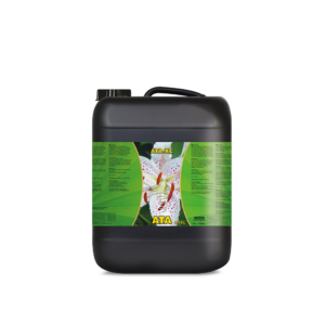 Xl 10 l