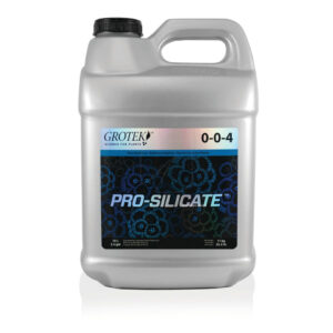 Pro silicate 10 l