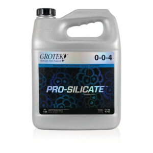 Pro silicate 4 l