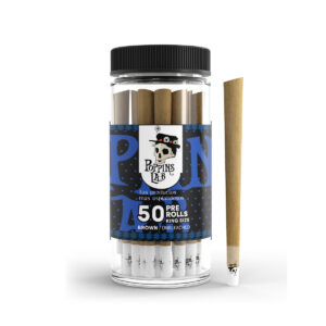 Conos ks marrón/sin blanquear (50 uds) Poppins Lab