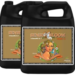 Php conni coco bloom B 5 L