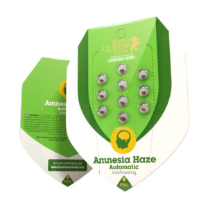 Amnesia Haze Auto