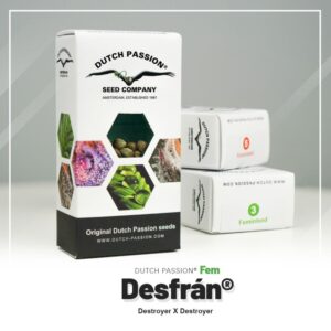 Desfran (10)