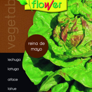 Lechuga reina de mayo