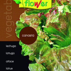 Basket lettuce