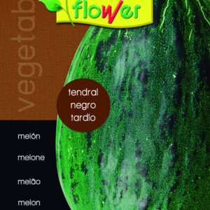 Melón tendral negro tardío