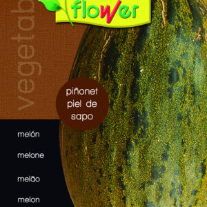 Melón piñonet piel de sapo