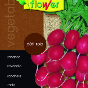 Rabanito dátil rojo