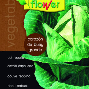 Col repollo corazón de buey grande