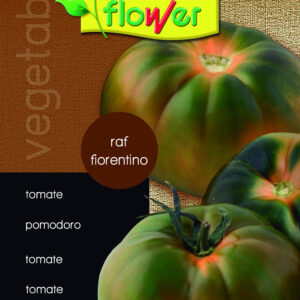 Tomate raf florentino