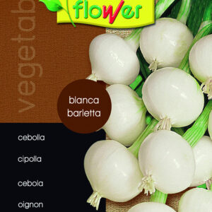Barletta white onion