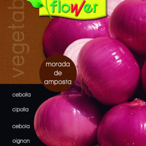 Amposta purple onion