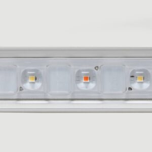 LED Flex 10