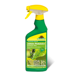 Jabón potásico