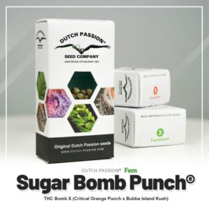 Sugar bomb punch (10) 100% dutch passion