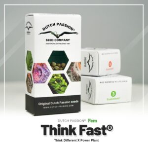 Think fast (3)