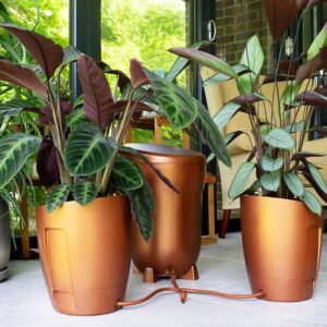 Khloris watering system (completo) cobre Autopot